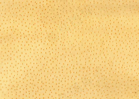 各式背景 488 各式背景 488