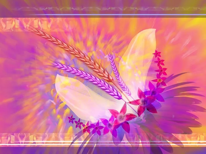 图片设计素材背景鸟语花香
