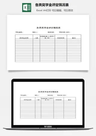 各类奖学金评定情况表excel模板