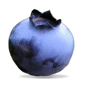 蓝莓 PNG免抠