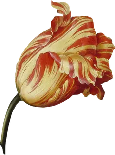 复古油画质感宫廷花卉植物花朵鲜花拼贴图案PNG免抠图片设计素材 复古油画质感宫廷花卉植物花朵鲜花拼贴图案PNG免抠图片设计素材