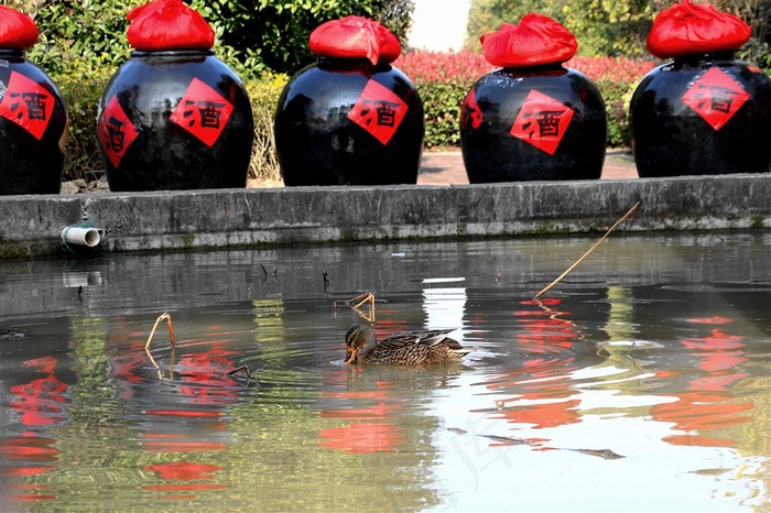 安徽老家酒业之八宝春