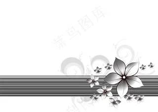 黑白色调花卉背景图片