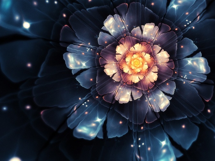 炫彩花朵高清大图