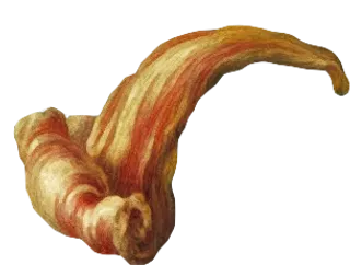 复古油画质感宫廷花卉植物花朵鲜花拼贴图案PNG免抠图片设计素材