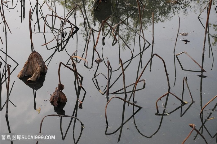 吴冠中手绘荷塘荷叶装饰画