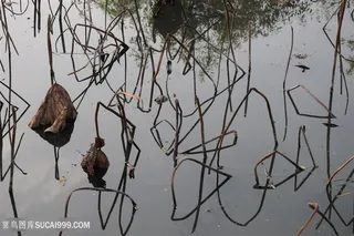 吴冠中手绘荷塘荷叶装饰画