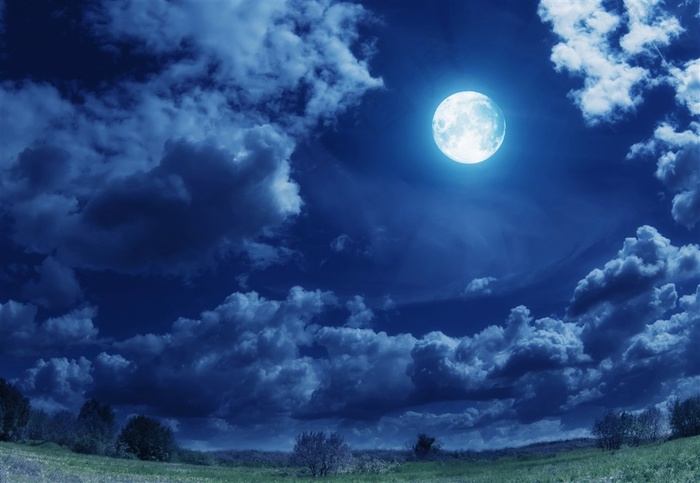 夜晚月亮草地高清