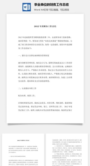事业单位的财务工作总结word模板预览图