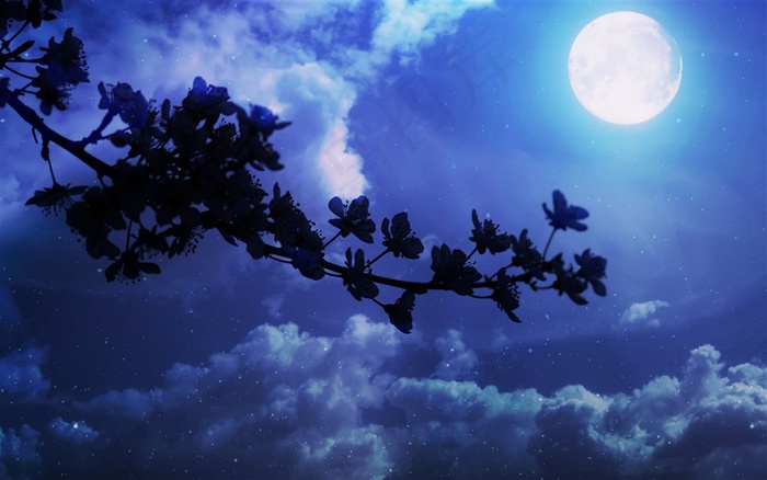 的夜晚图片