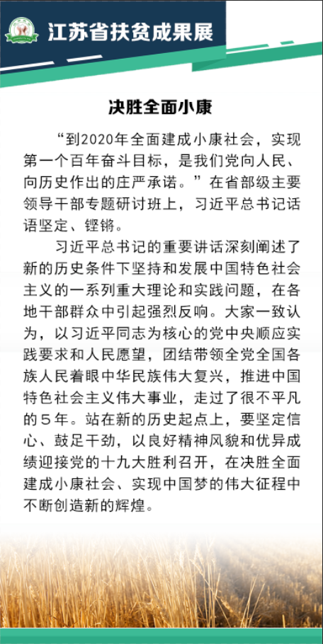 江苏省扶贫成果展psd模版下载