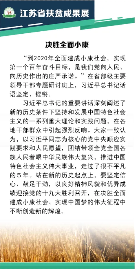 江苏省扶贫成果展psd模版下载