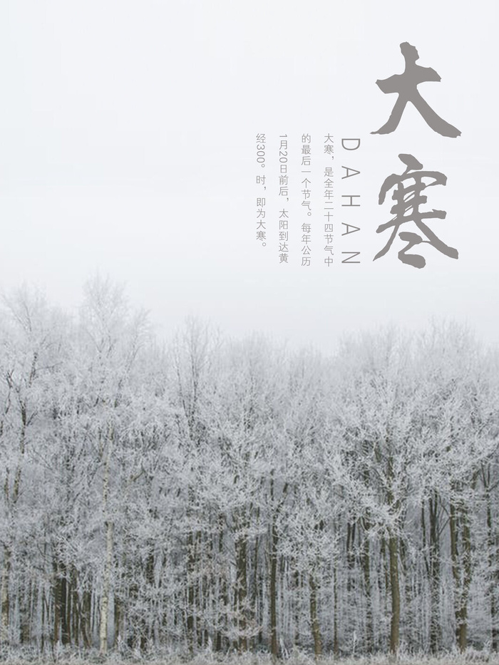 24二十四节气传统节日大寒宣传活动海报插画合集psd设计素材模板