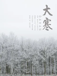 24二十四节气传统节日大寒宣传活动海报插画合集psd设计素材模板