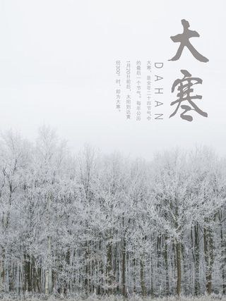 24二十四节气传统节日大寒宣传活动海报插画合集psd设计素材模板