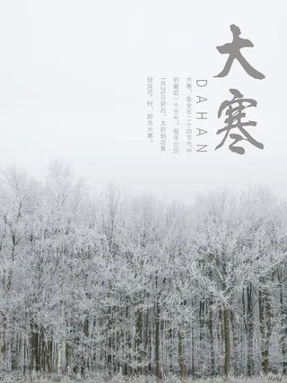 24二十四节气传统节日大寒宣传活动海报插画合集psd设计素材模板