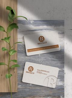 高端大气商务名片样机