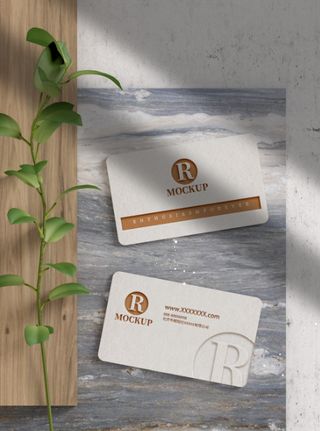 高端大气商务名片样机