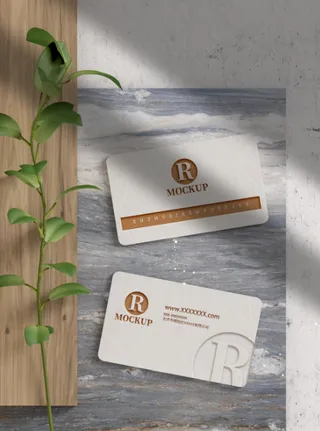 高端大气商务名片样机