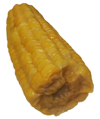 水煮玉米免抠元素素材
