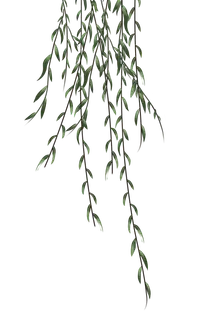 春天绿色春季水墨柳树柳条柳叶春季海报设计PNG免扣素材