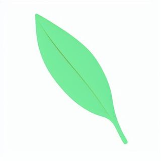 一片绿色叶子png免抠