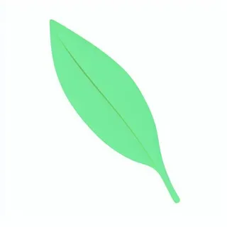 一片绿色叶子png免抠