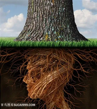 树根广告设计高清图片