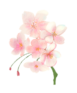 春天浪漫粉红色樱花手绘樱花梅花桃花花朵图片PNG免扣素材