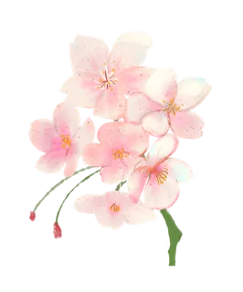 春天浪漫粉红色樱花手绘樱花梅花桃花花朵图片PNG免扣素材 春天浪漫粉红色樱花手绘樱花梅花桃花花朵图片PNG免扣素材