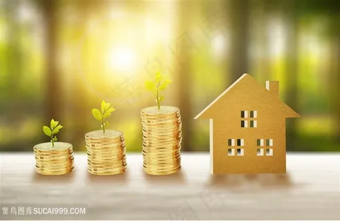 房价升值金币 房价升值金币