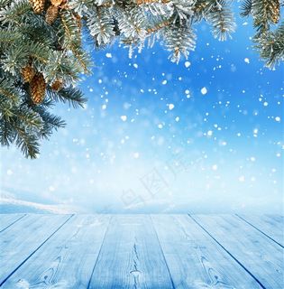 冬季雪花高清摄影图片