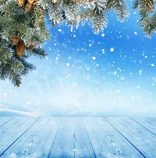 冬季雪花高清摄影图片