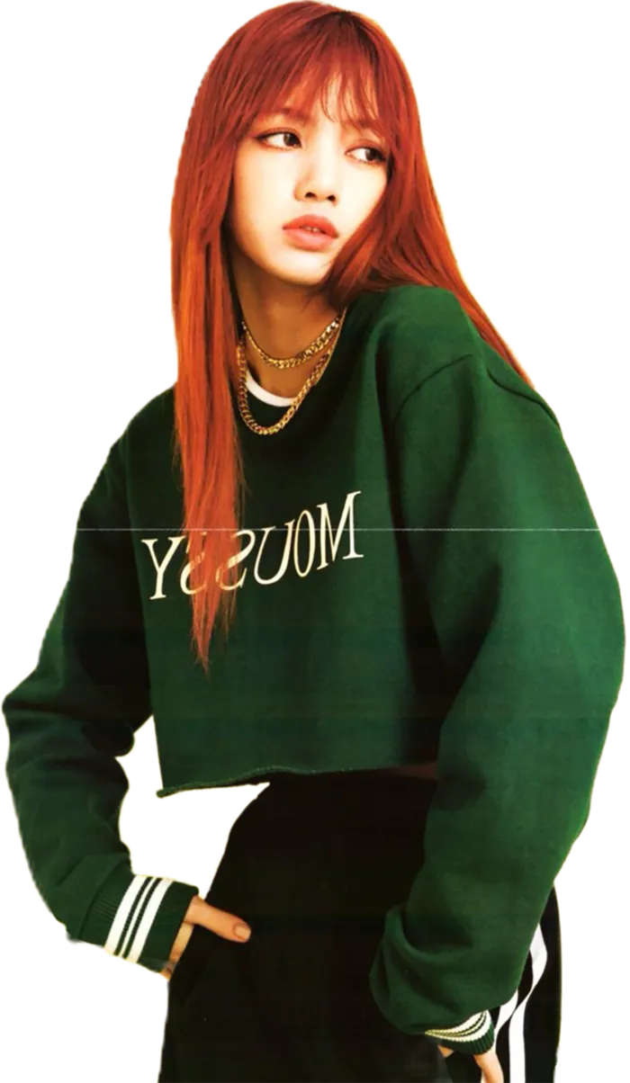 明星lisa