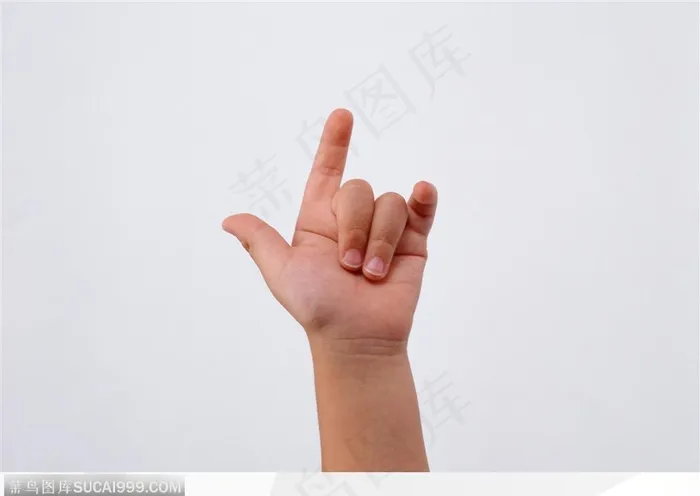 手的表情-纯真的爱