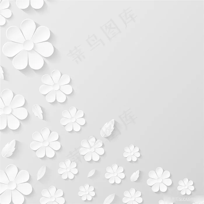 白色立体花瓣边框