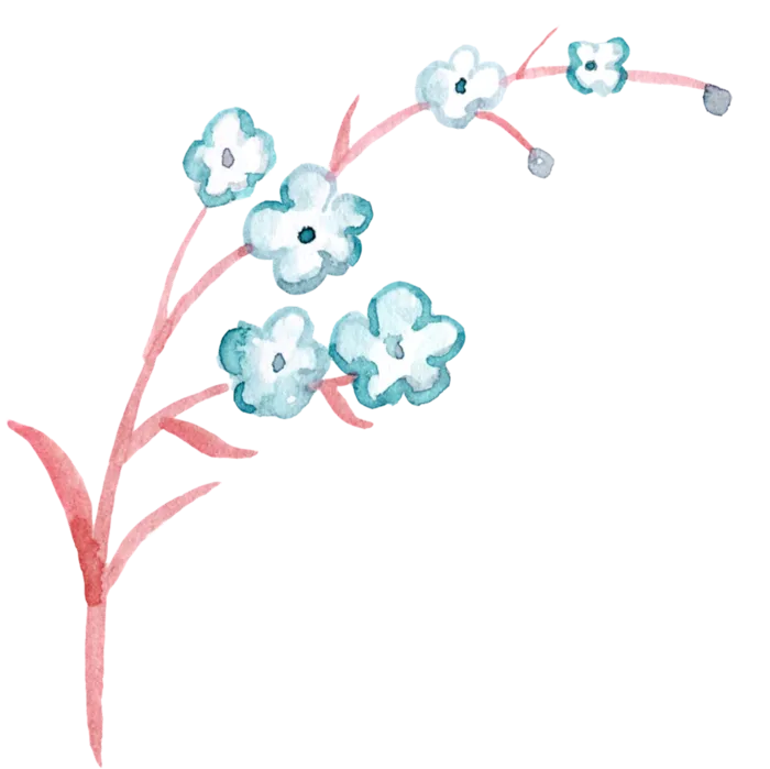 花枝梅花卡通