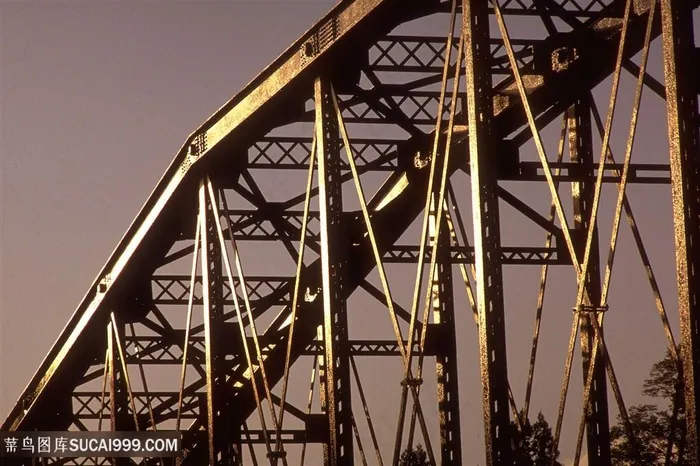 摩天轮美景风景画
