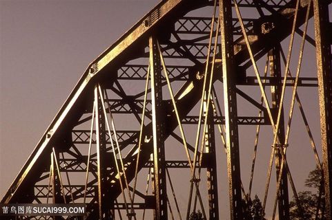 摩天轮美景风景画