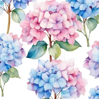 绣球花插画免抠