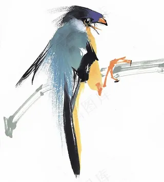 国画鸟国画图片摄影图片