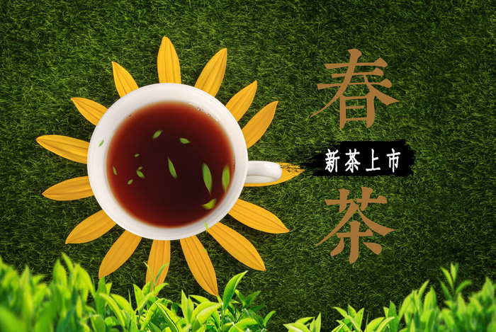 设计茶叶春茶上市素材psd模版下载