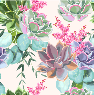 多肉 装饰 多朵 多肉 装饰画