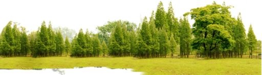 森林 PNG免抠(1346x387)