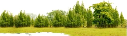 森林 PNG免抠(1346x387)