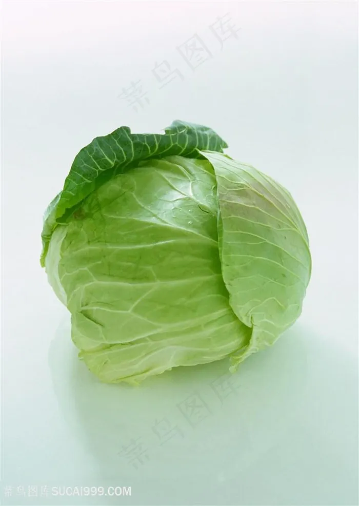 新鲜包菜蔬菜高清素材