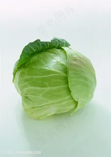 新鲜包菜蔬菜高清素材