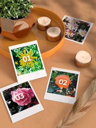 唯美国潮风中式相片智能贴图样机