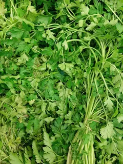 新鲜绿色芹菜图片 新鲜绿色芹菜图片