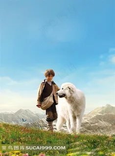 草地上的小男孩与白色的狗 草地上的小男孩与白色的狗